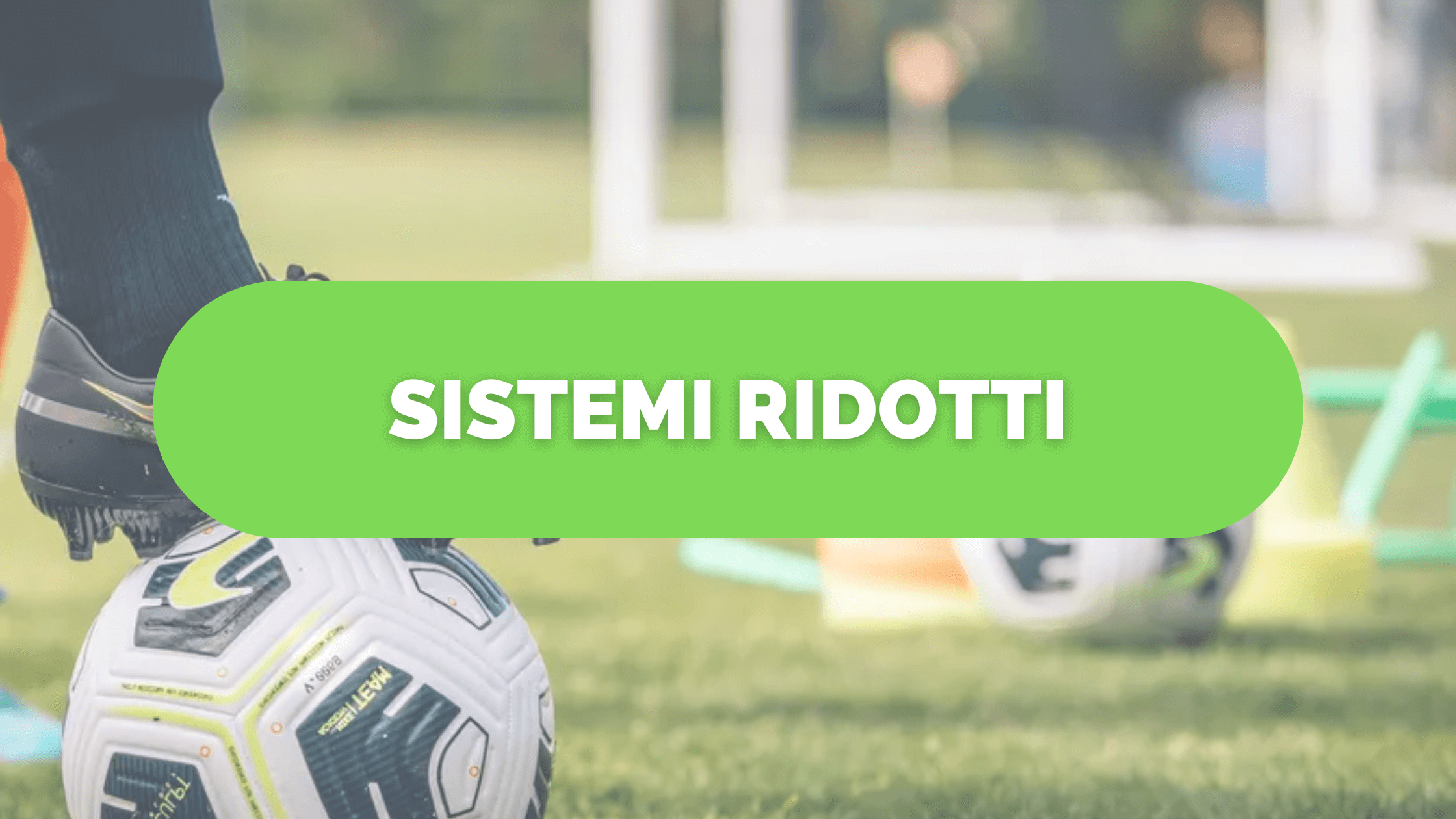 Sistemi ridotti